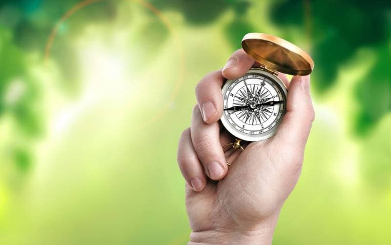 Hand holding a compass