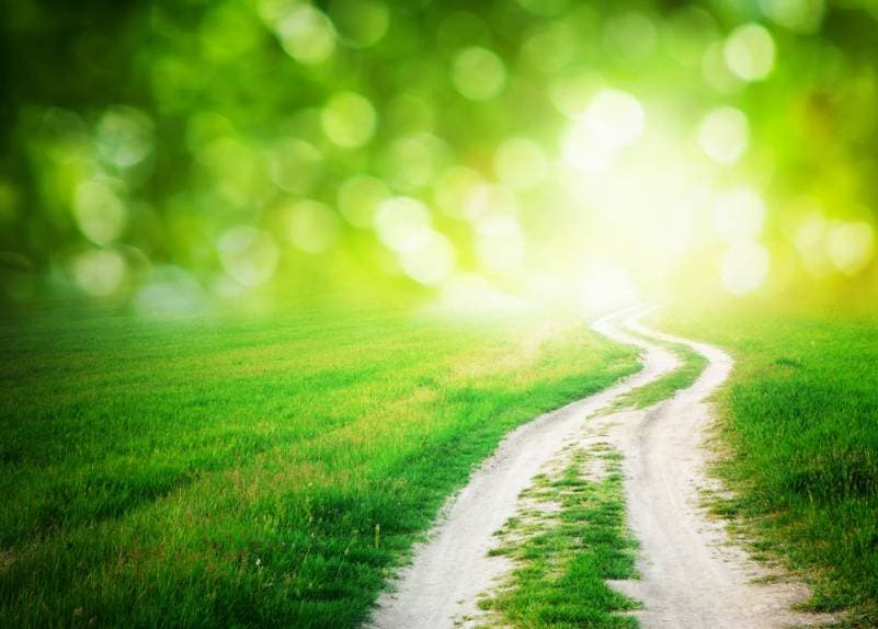 A path forward